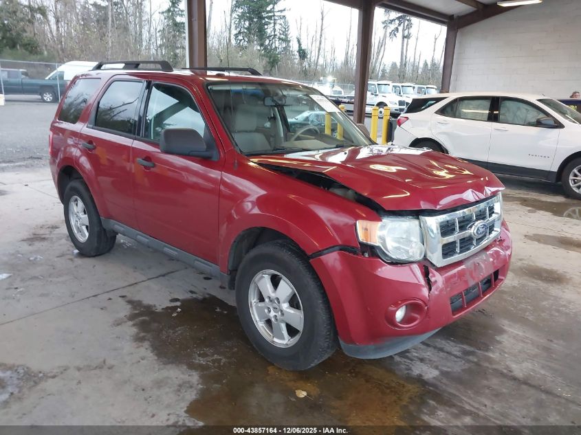 FORD ESCAPE XLT