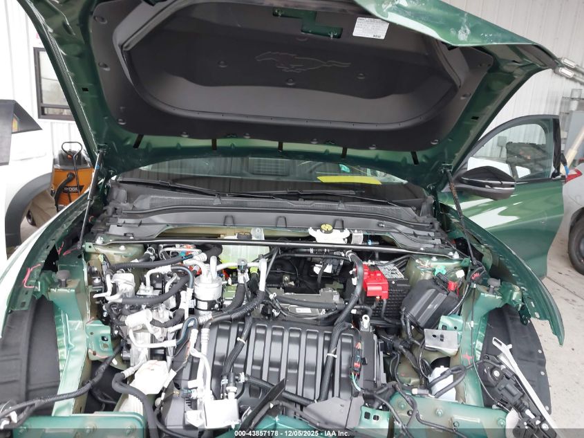 2025 Ford Mustang Mach-E Select VIN: 3FMTK1R45SMA55882 Lot: 43857178