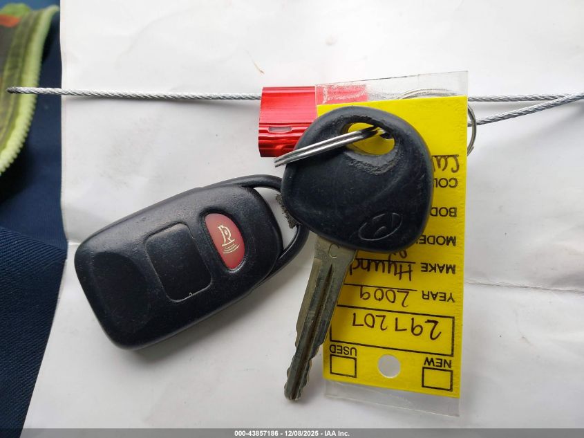 2009 Hyundai Santa Fe Gls VIN: 5NMSG13D59H297207 Lot: 43857186