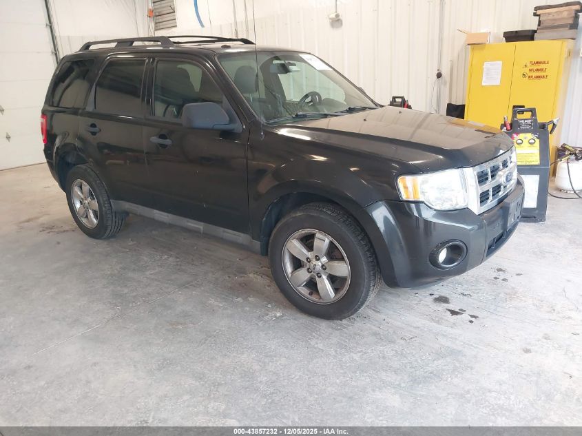 FORD ESCAPE XLT