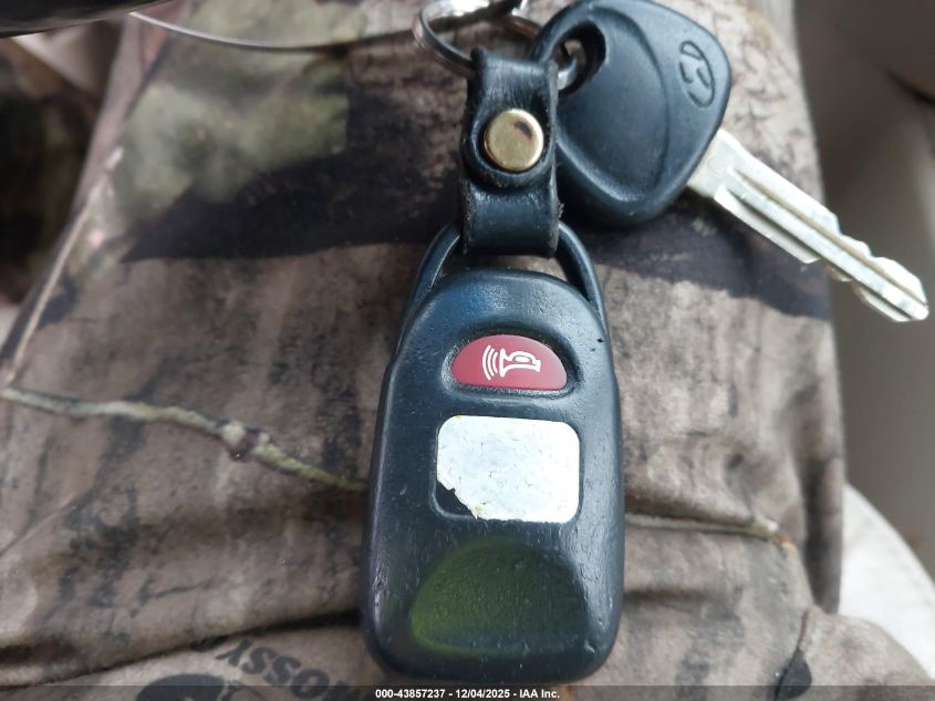 2007 Hyundai Santa Fe Limited/Se VIN: 5NMSH73E67H123944 Lot: 43857237