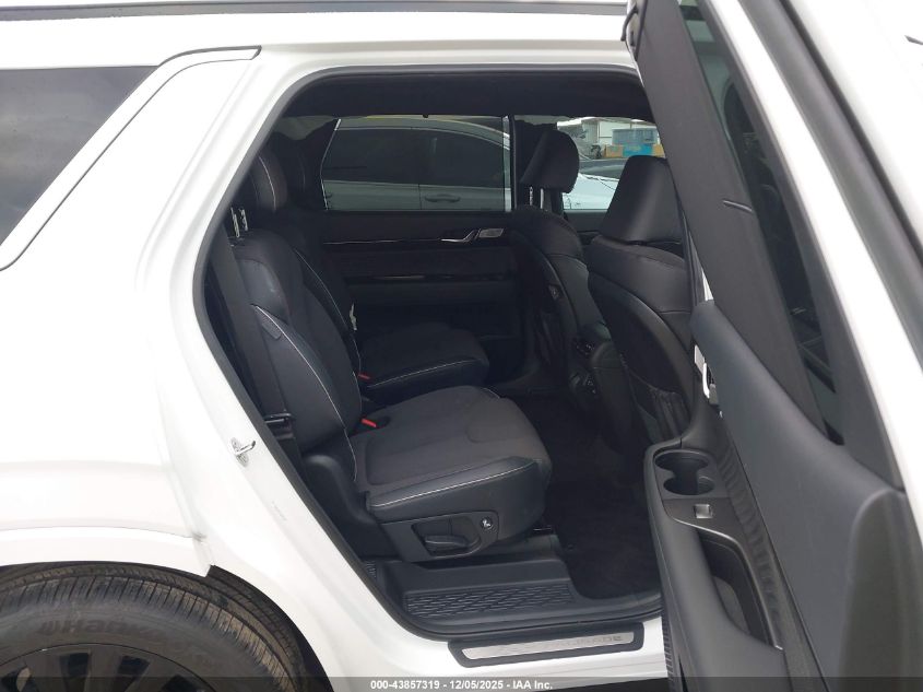 2025 Hyundai Palisade Calligraphy Night Edition VIN: KM8R7DGE1SU953979 Lot: 43857319