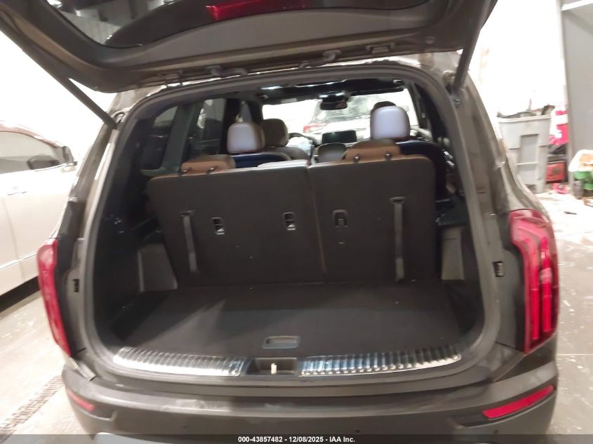 2020 Kia Telluride Sx VIN: 5XYP5DHC9LG034751 Lot: 43857482