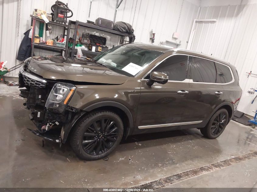 2020 Kia Telluride Sx VIN: 5XYP5DHC9LG034751 Lot: 43857482