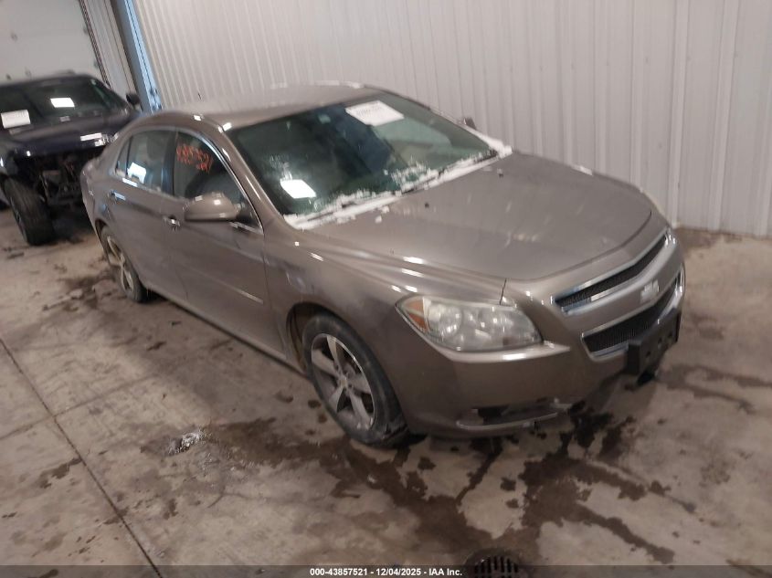 CHEVROLET MALIBU 1LT