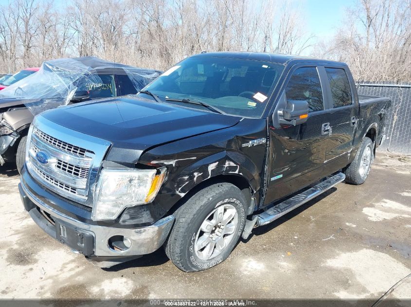 2013 Ford F-150 Xlt VIN: 1FTFW1ET9DKD07484 Lot: 43857522