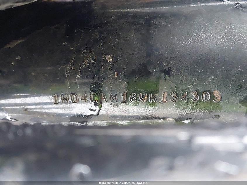 2000 Harley-Davidson Xl883 VIN: 1HD4CAM16YK134303 Lot: 43857668