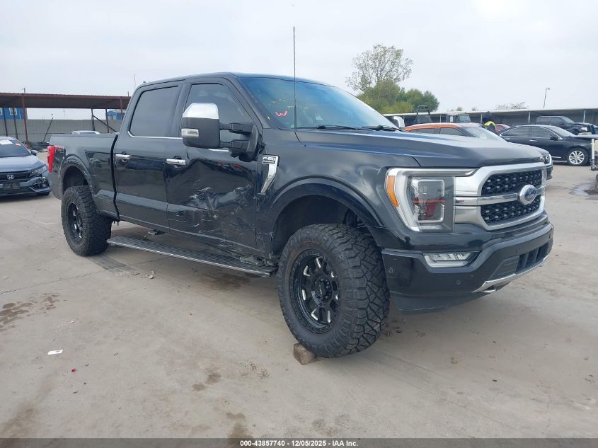 FORD F-150 PLATINUM