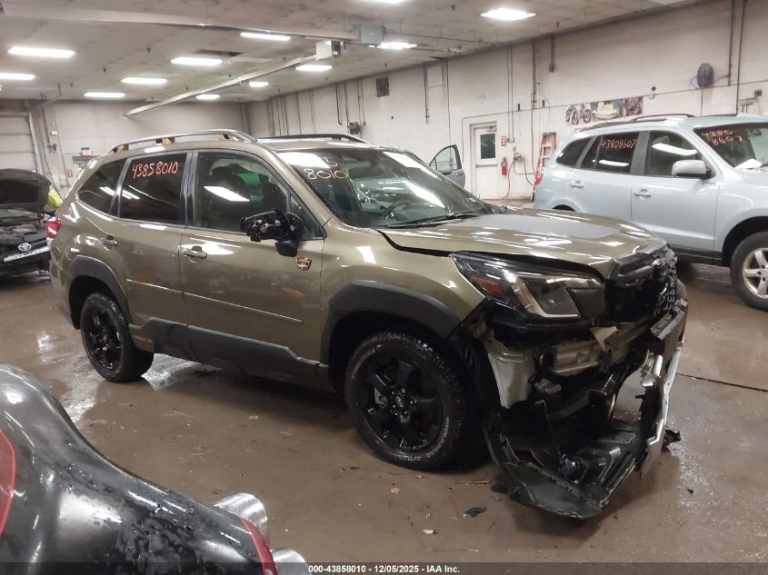 SUBARU FORESTER WILDERNESS