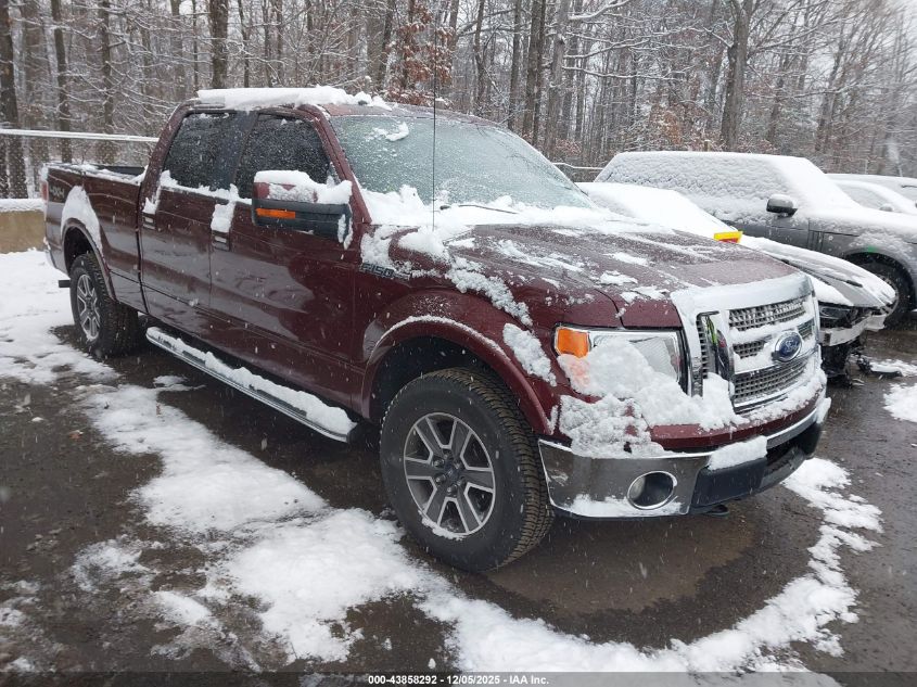 FORD F-150 FX4/HARLEY-DAVIDSON/KING RANCH/LARIAT/PLATINUM/XL/XLT