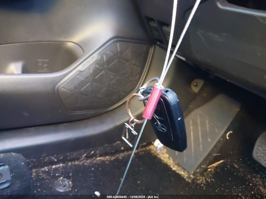 2025 Toyota Rav4 Xle VIN: 2T3W1RFV9SC333392 Lot: 43858448