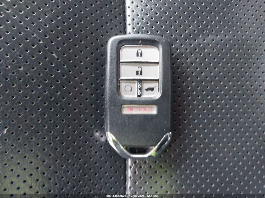 2019 Honda Pilot Elite VIN: 5FNYF6H00KB032346 Lot: 43858625