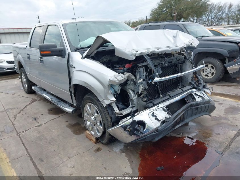 FORD F-150 FX2 SPORT/XL/XLT