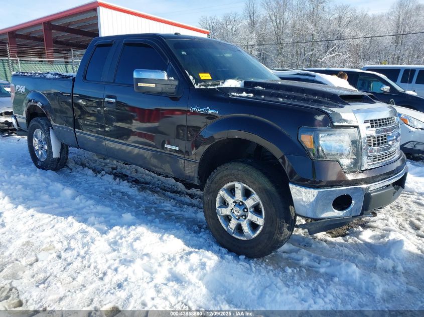 FORD F-150 XLT