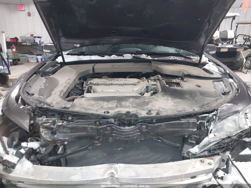 2009 Acura Tl 3.5 VIN: 19UUA86569A013165 Lot: 43858962