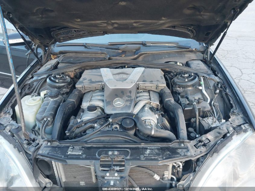 2002 Mercedes-Benz S 600 VIN: WDBNG78J52A246450 Lot: 43859101