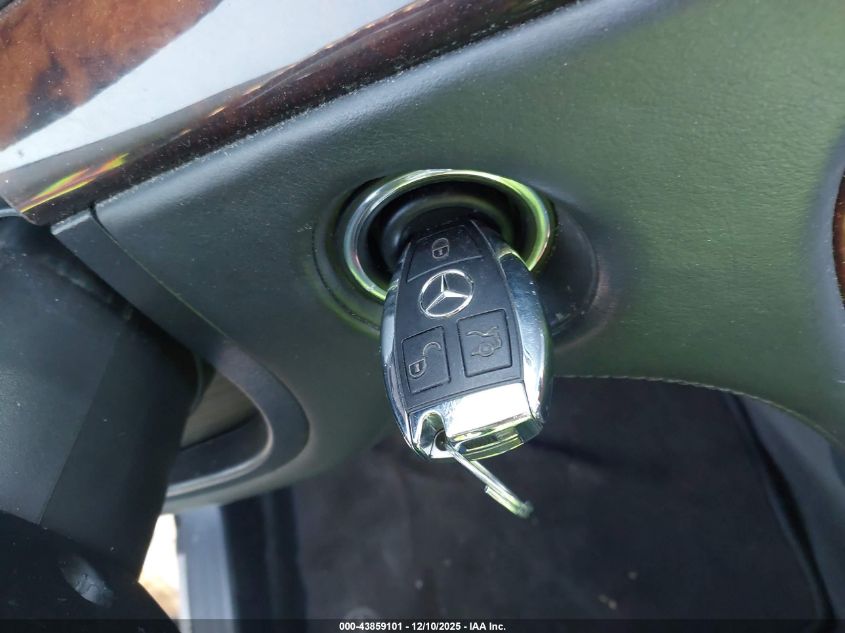 2002 Mercedes-Benz S 600 VIN: WDBNG78J52A246450 Lot: 43859101