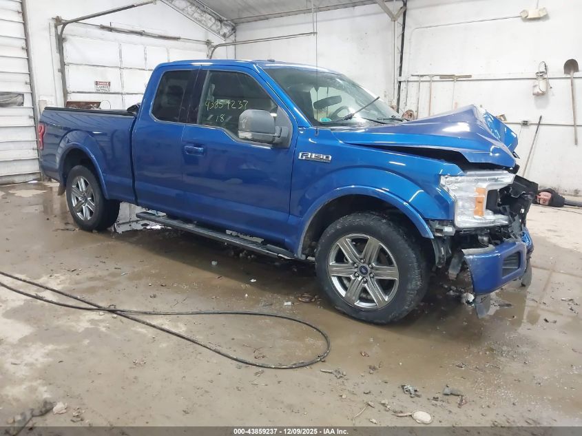FORD F-150 XLT