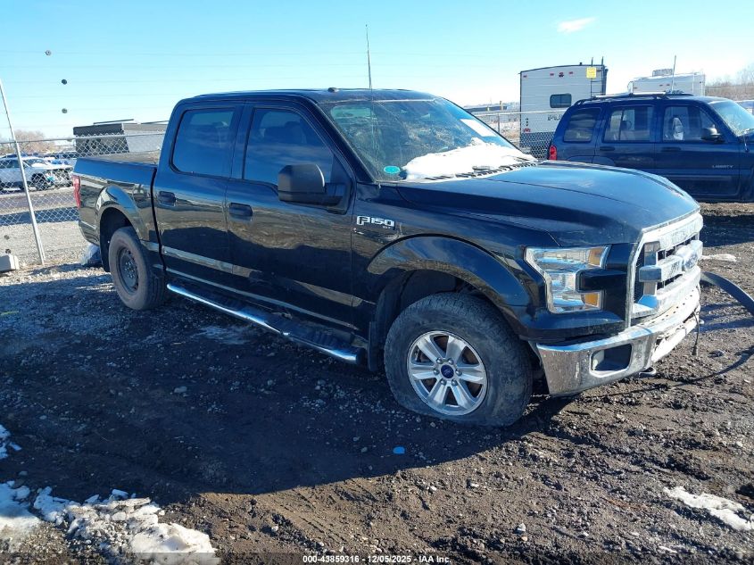 FORD F-150 XLT