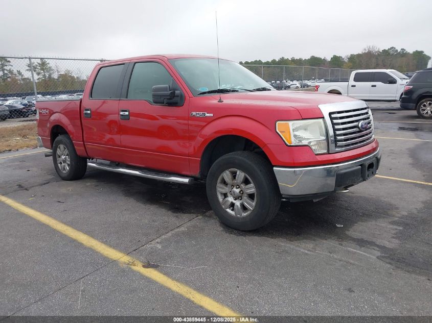 FORD F-150 XL/XLT