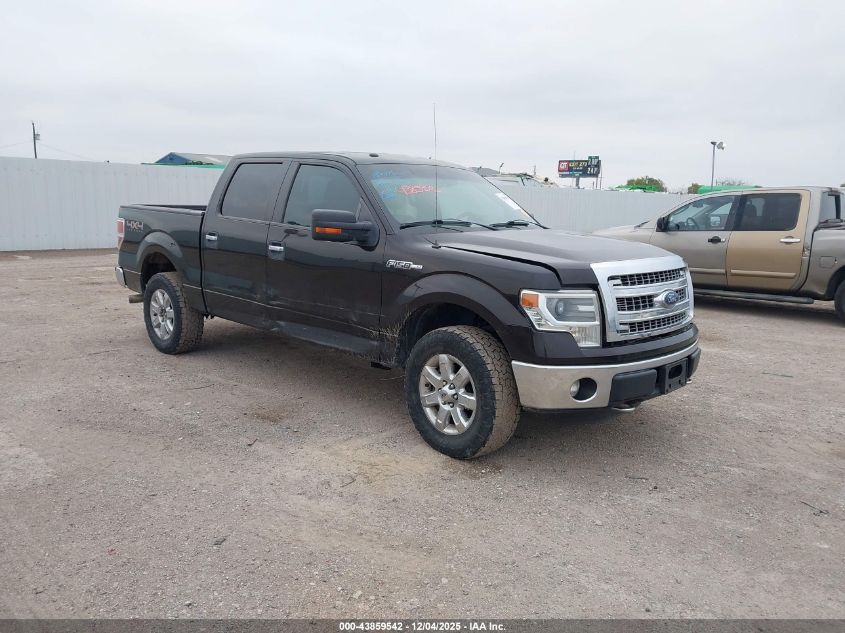 FORD F-150 XLT