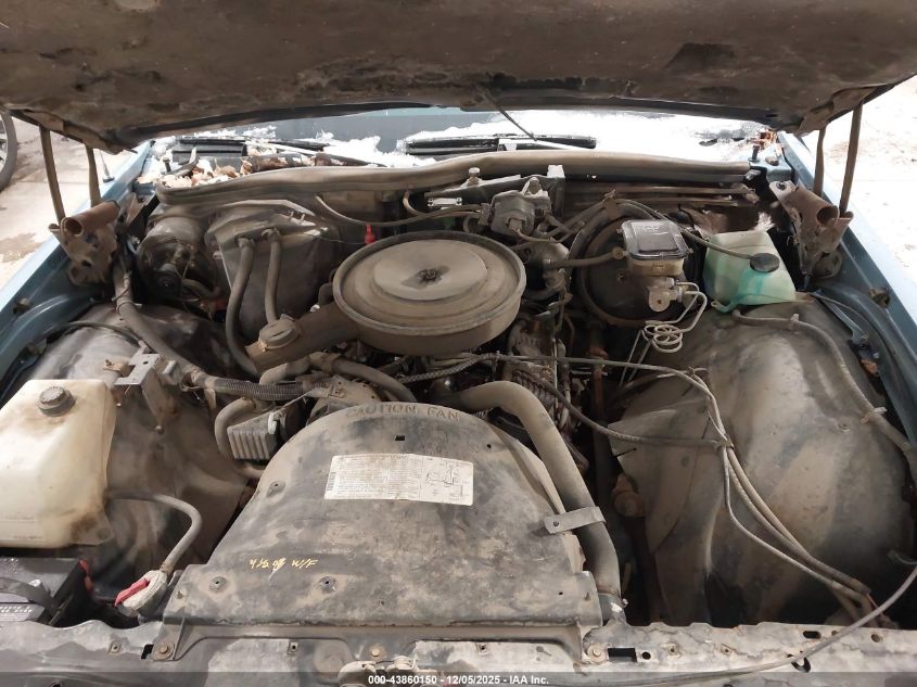 1988 Chevrolet Caprice VIN: 1G1BL51Z8JR118796 Lot: 43860150