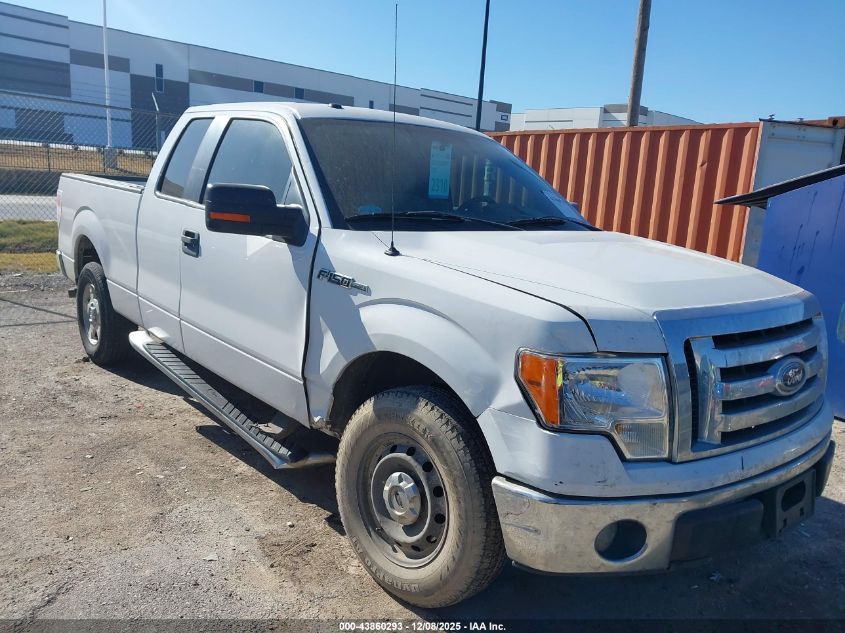 FORD F-150 XLT