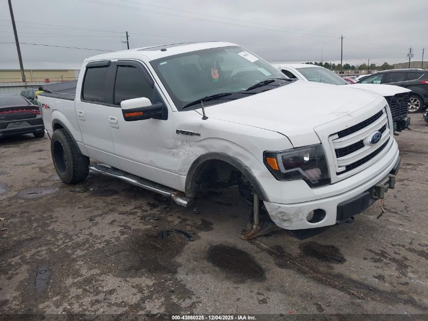 FORD F-150 FX4/HARLEY-DAVIDSON/KING RANCH/LARIAT/PLATINUM/XL/XLT