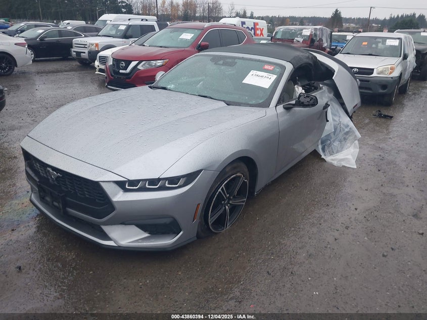 1FAGP8UH9R5141003 2024 FORD MUSTANG photo no. 2