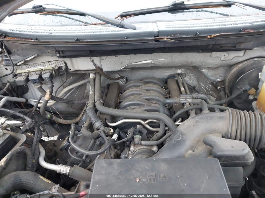 2014 Ford F-150 Xlt VIN: 1FTFX1CF3EFA67563 Lot: 43860480