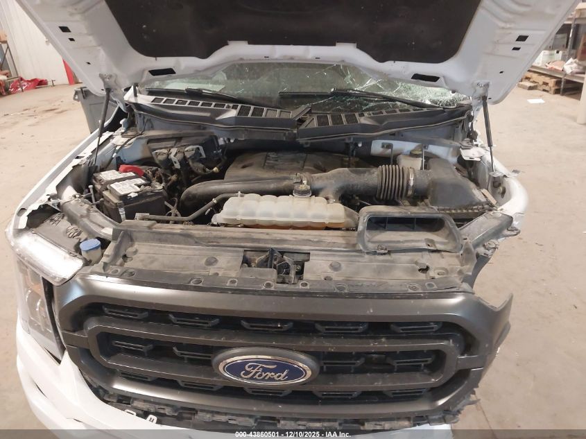 2023 Ford F-150 Xlt VIN: 1FTFW1E88PKE90747 Lot: 43860501