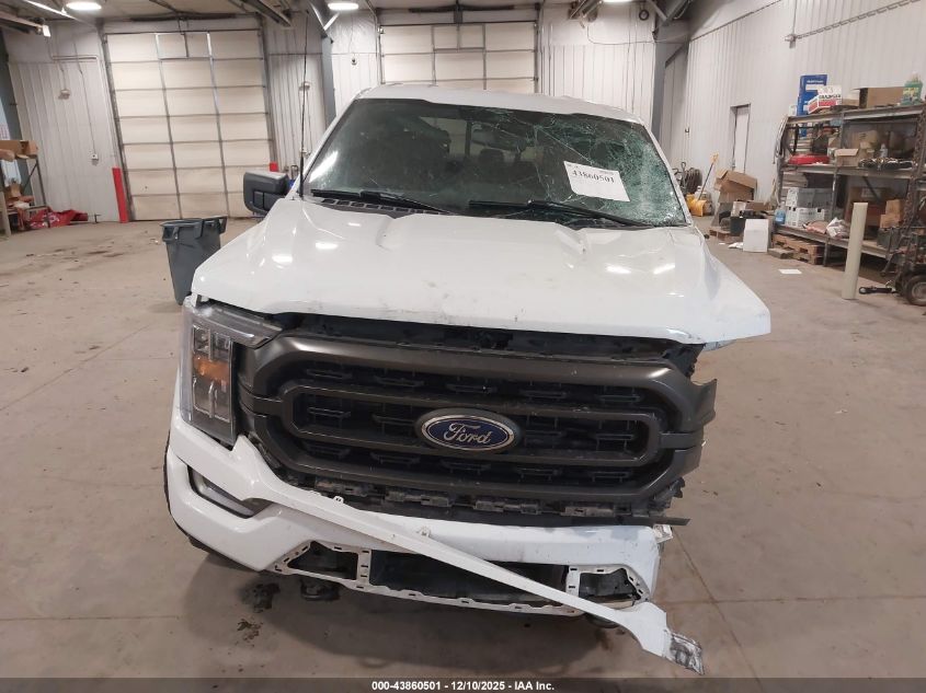 2023 Ford F-150 Xlt VIN: 1FTFW1E88PKE90747 Lot: 43860501