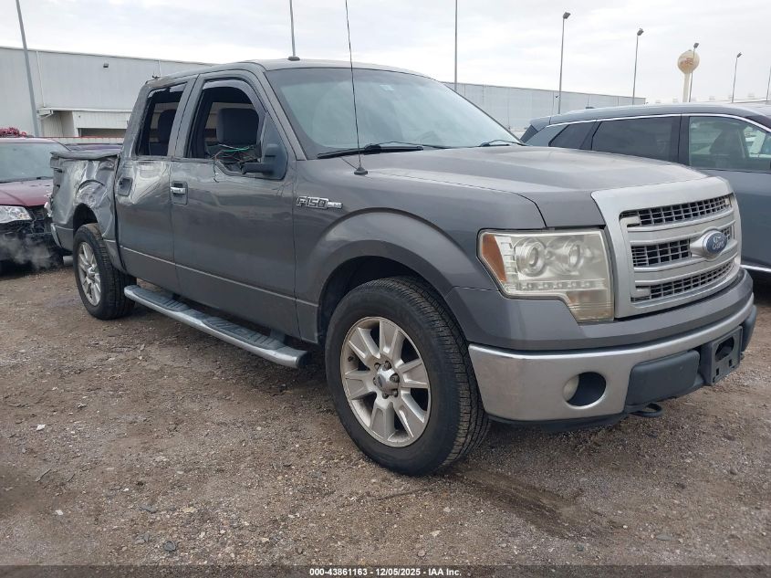 FORD F-150 XLT
