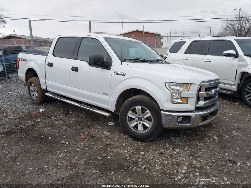 FORD F-150 XLT