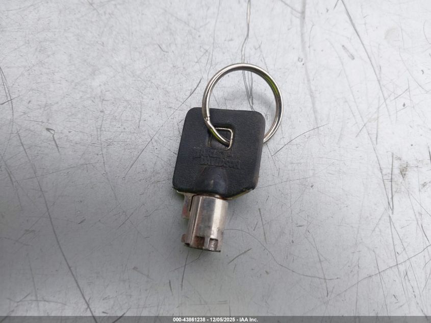 1999 Harley-Davidson Fxdwg VIN: 1HD1GEV32XY328014 Lot: 43861238