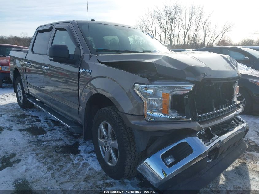 FORD F-150 XLT