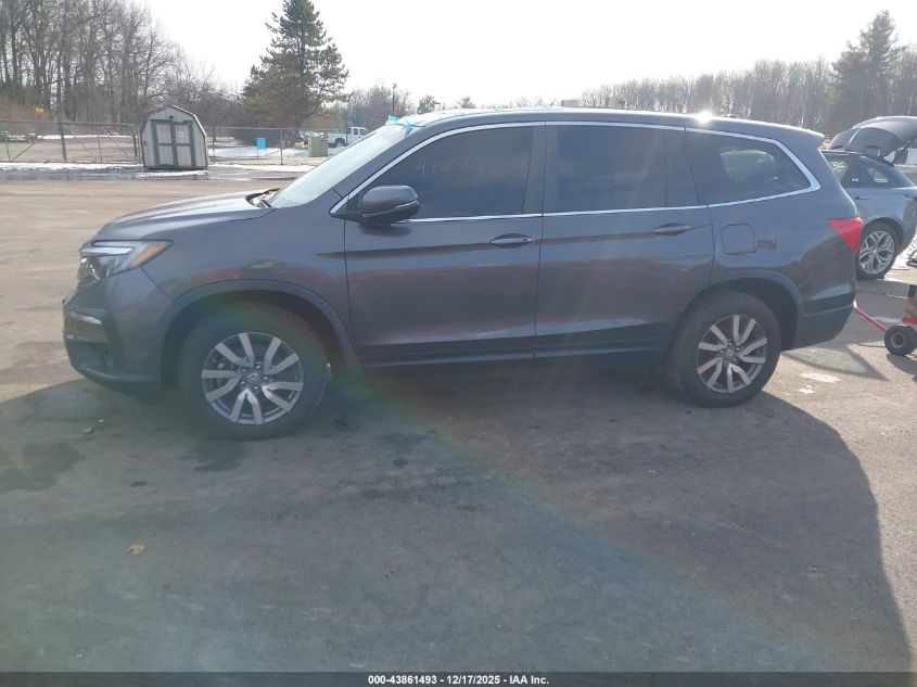 2019 Honda Pilot Ex-L VIN: 5FNYF6H52KB052450 Lot: 43861493