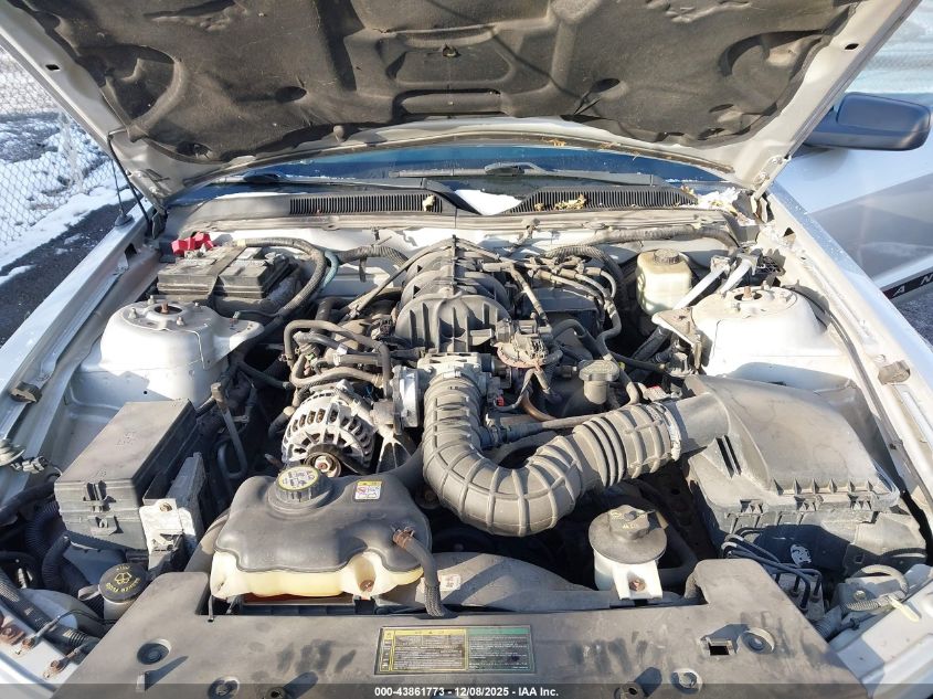 2005 Ford Mustang V6 Deluxe/V6 Premium VIN: 1ZVFT80N555260025 Lot: 43861773