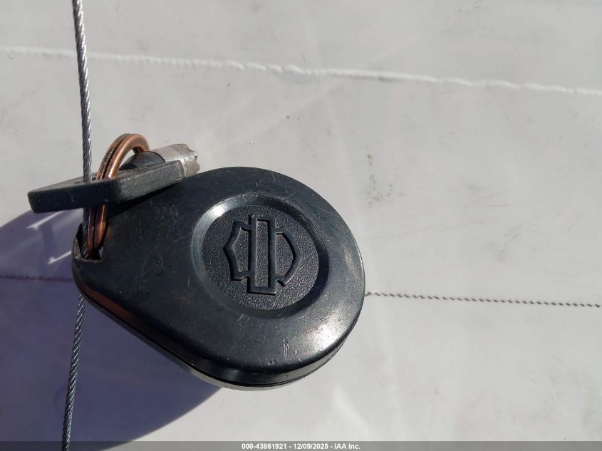 2019 Harley-Davidson Flhr VIN: 1HD1FBC14KB627227 Lot: 43861921