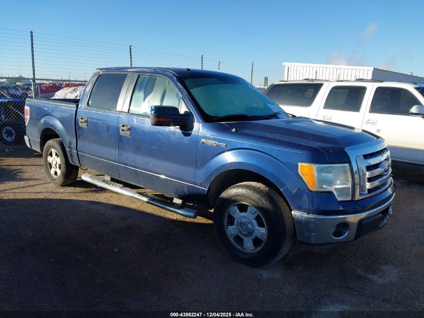 FORD F-150 XLT