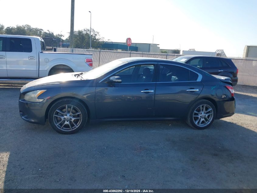 2009 Nissan Maxima 3.5 Sv VIN: 1N4AA51E19C857521 Lot: 43862292