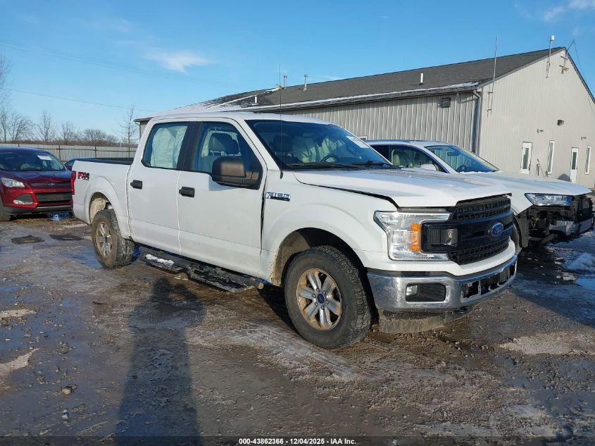 FORD F-150 XL