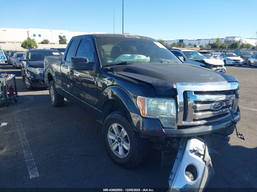 FORD F-150 XLT