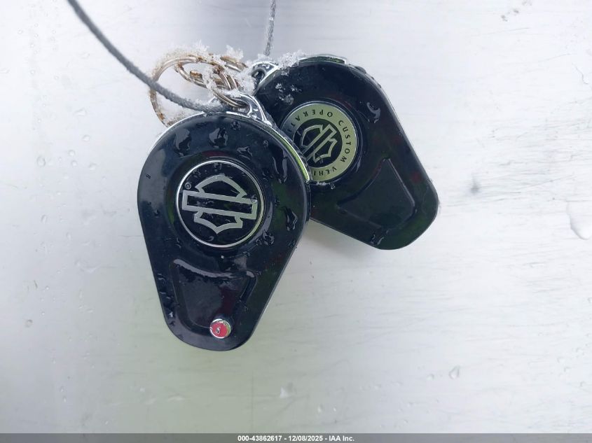 2016 Harley-Davidson Fxse VIN: 1HD1TG925GB962591 Lot: 43862617