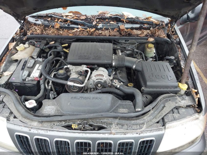 2002 Jeep Grand Cherokee Limited VIN: 1J4GW58N32C215670 Lot: 43862638