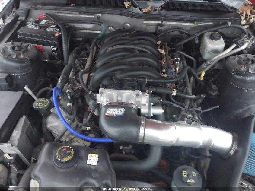 2008 Ford Mustang Gt Deluxe/Gt Premium VIN: 1ZVHT82H185126620 Lot: 43863045