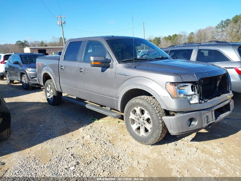 FORD F-150 FX4