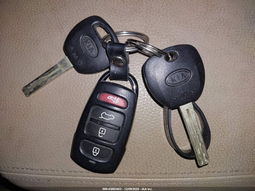 2009 Kia Borrego Ex V6 VIN: KNDJH741295028455 Lot: 43863403