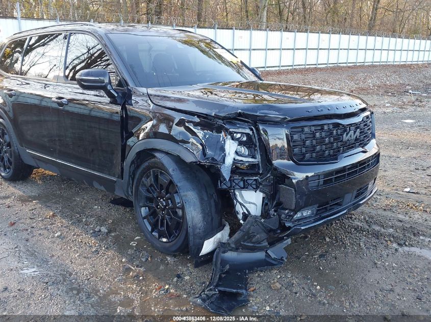 2022 Kia Telluride Sx VIN: 5XYP5DHC4NG261509 Lot: 43863406