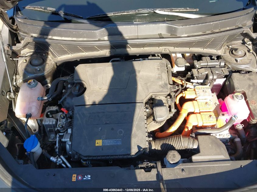 2025 Kia Niro Ex VIN: KNDCR3LE5S5239710 Lot: 43863443